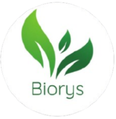 Biorys